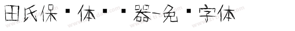 田氏保钓体转换器字体转换