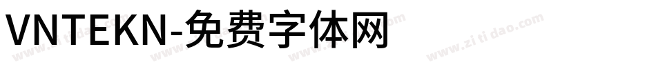 VNTEKN字体转换
