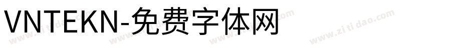 VNTEKN字体转换
