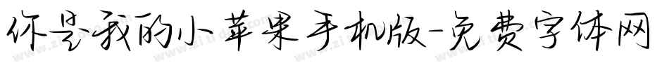 你是我的小苹果手机版字体转换