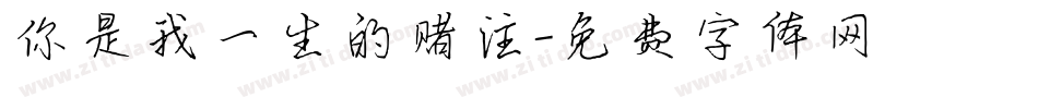 你是我一生的赌注字体转换
