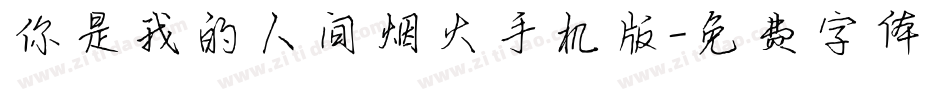 你是我的人间烟火手机版字体转换