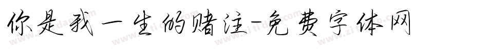 你是我一生的赌注字体转换