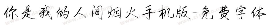 你是我的人间烟火手机版字体转换