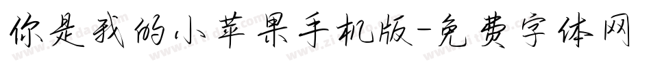 你是我的小苹果手机版字体转换