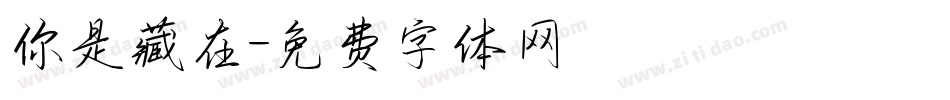 你是藏在字体转换
