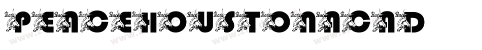 peacehoustonacad字体转换