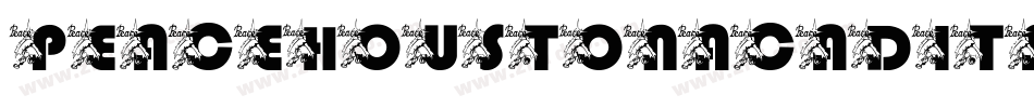 peacehoustonacadital字体转换