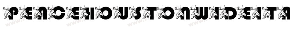 peacehoustonwideital字体转换