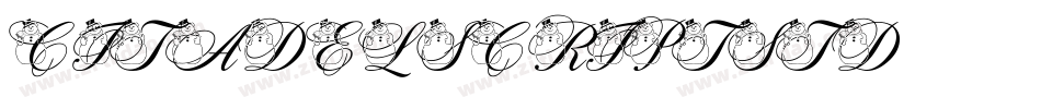 CitadelScriptStd字体转换