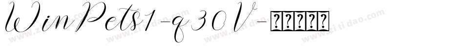 WinPets1-q30V字体转换