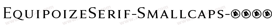 EquipoizeSerif-Smallcaps字体转换