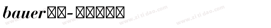 bauer字库字体转换