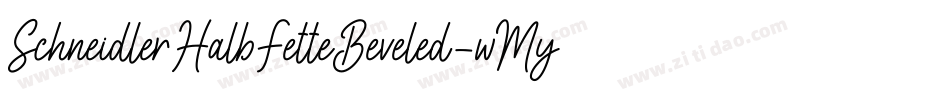 SchneidlerHalbFetteBeveled-wMyx字体转换 SchneidlerHalbFetteBeveled-wMyx字体转换