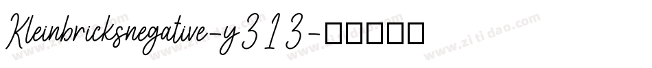 Kleinbricksnegative-y313字体转换