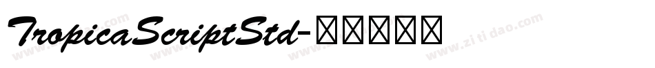 TropicaScriptStd字体转换