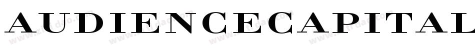 AudienceCapitals字体转换