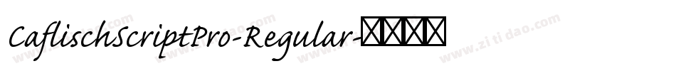 CaflischScriptPro-Regular字体转换