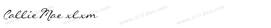 CallieMae-xlxm字体转换