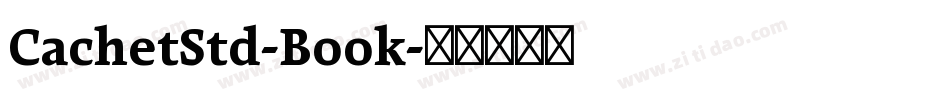 CachetStd-Book字体转换