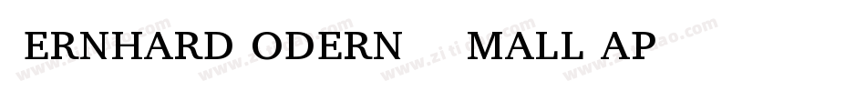 BernhardModernBT-SmallCap字体转换