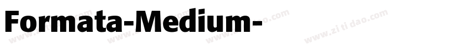Formata-Medium字体转换
