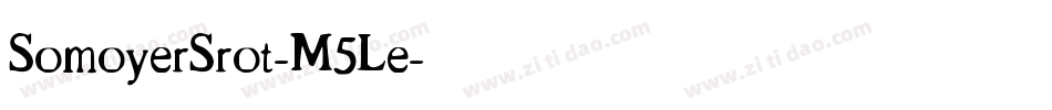 SomoyerSrot-M5Le字体转换