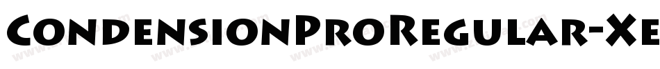 CondensionProRegular-Xe7j字体转换