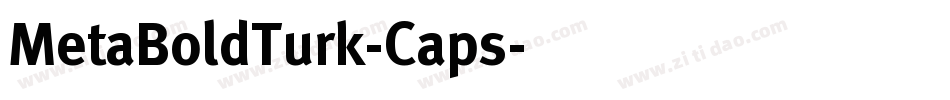 MetaBoldTurk-Caps字体转换