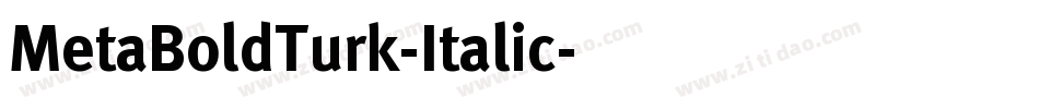 MetaBoldTurk-Italic字体转换
