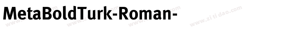 MetaBoldTurk-Roman字体转换