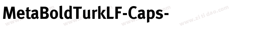 MetaBoldTurkLF-Caps字体转换