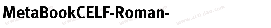 MetaBookCELF-Roman字体转换