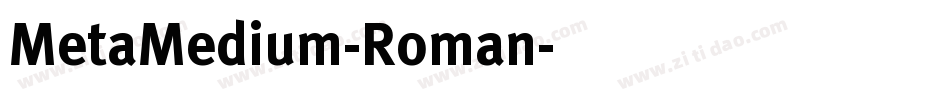 MetaMedium-Roman字体转换