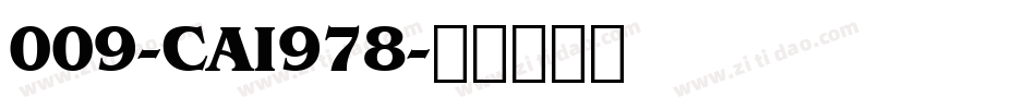 009-CAI978字体转换