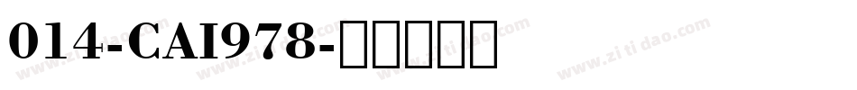 014-CAI978字体转换