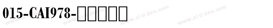 015-CAI978字体转换