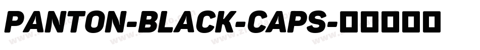 Panton-Black-Caps字体转换