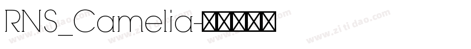 RNS_Camelia字体转换