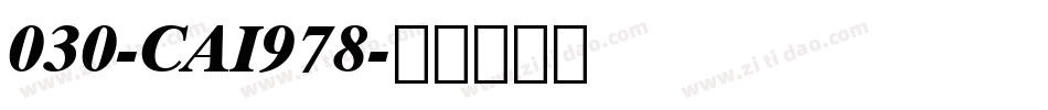 030-CAI978字体转换