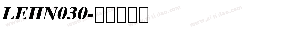 LEHN030字体转换