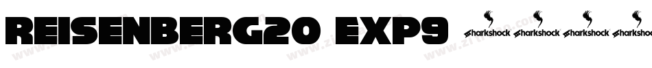 Reisenberg20-ExP9字体转换