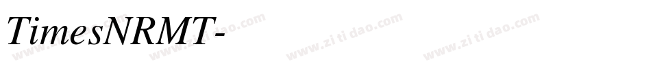 TimesNRMT字体转换