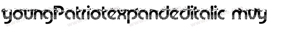 YoungPatriotExpandedItalic-MVY2n字体转换