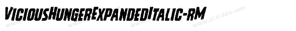 ViciousHungerExpandedItalic-rMZp字体转换