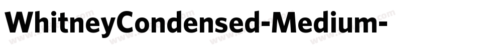 WhitneyCondensed-Medium字体转换