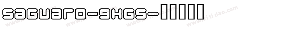 Saguaro-9xG5字体转换