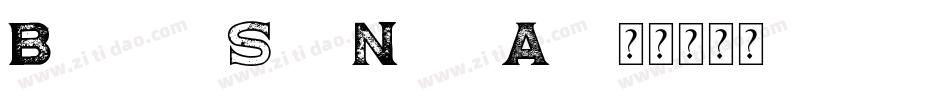 BrightonSerifNbp-yAj2字体转换