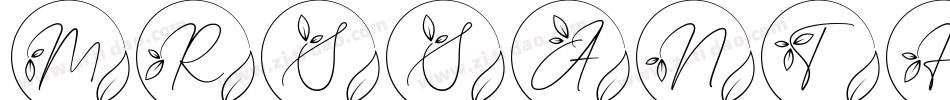 MrsSanthidemo字体转换