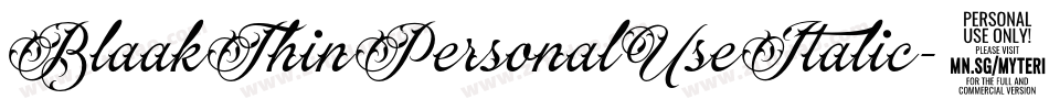 BlaakThinPersonalUseItalic-1Wrg字体转换 BlaakThinPersonalUseItalic-1Wrg字体转换